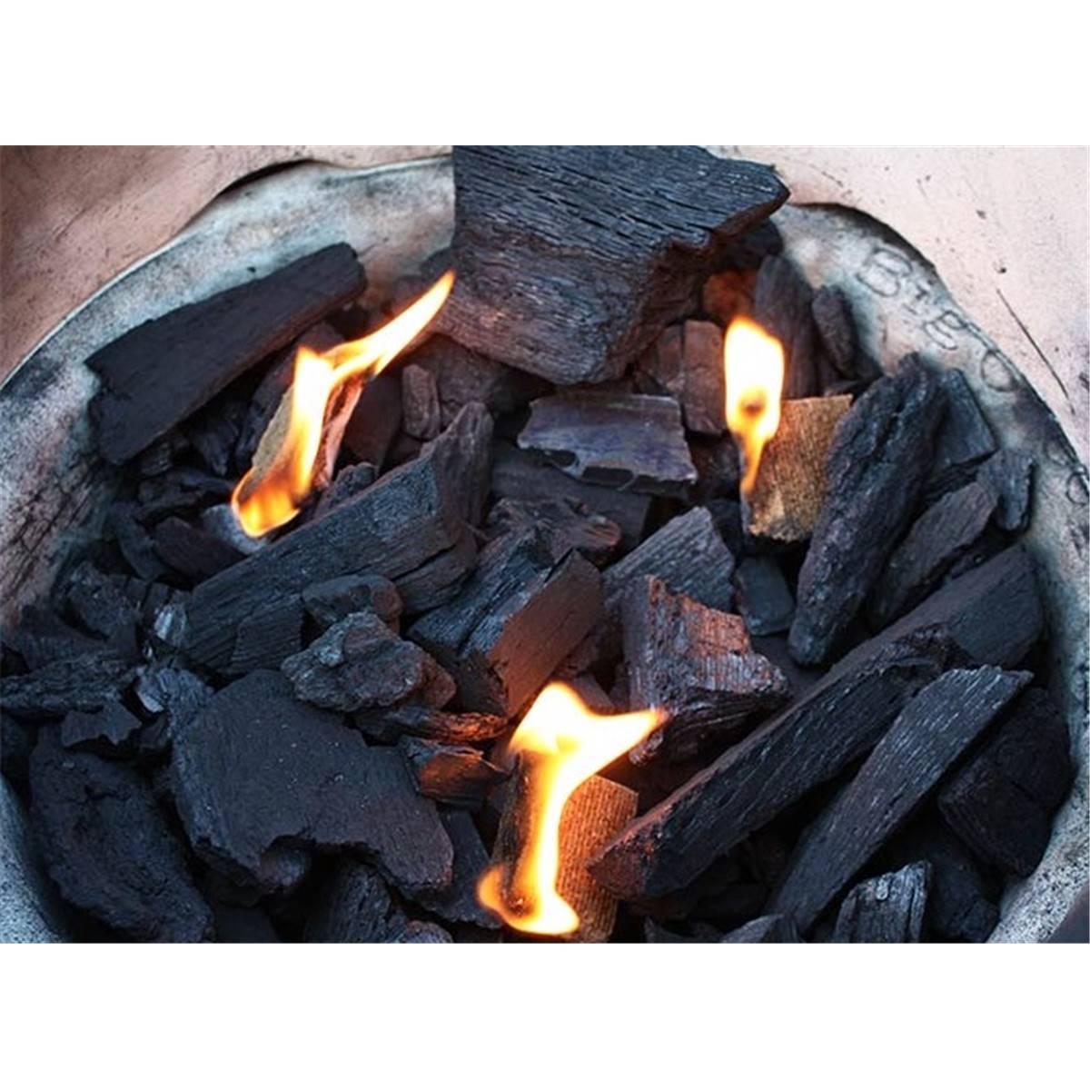 Allume-feux Big Green Egg bio - Image 5