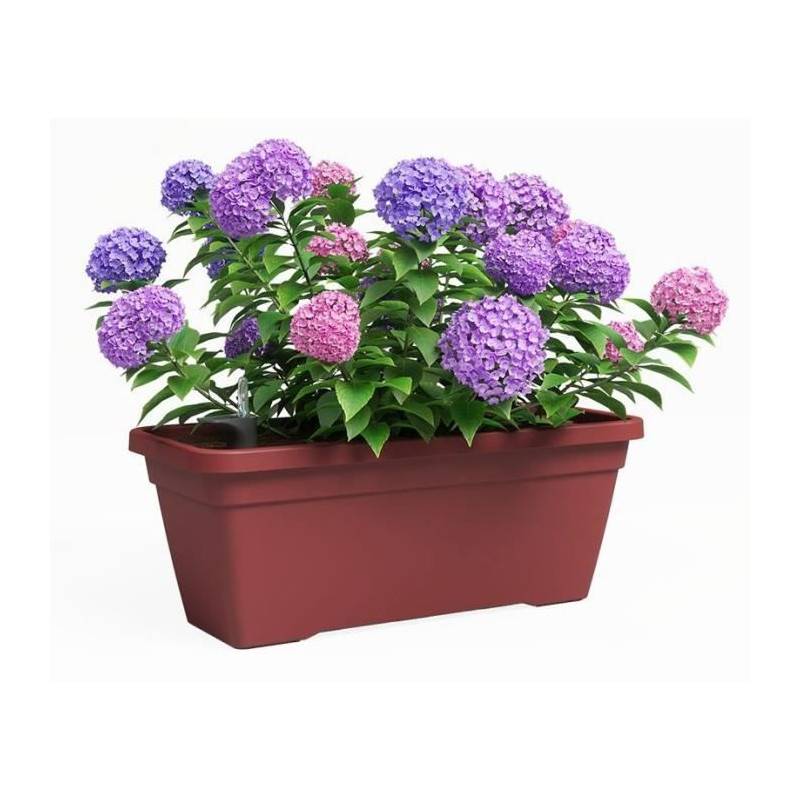 Jardiniere - Plastique - Rouge Foncé� - Rectangulaire - L57,9 X P24,3 X H22cm - Artevasi - Image 2