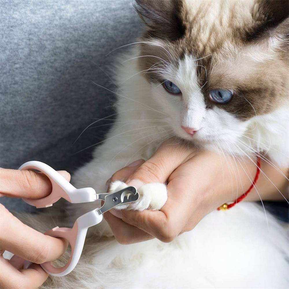 Ciseaux - griffes pour chat et petits animaux DtopbuyAge - Image 7