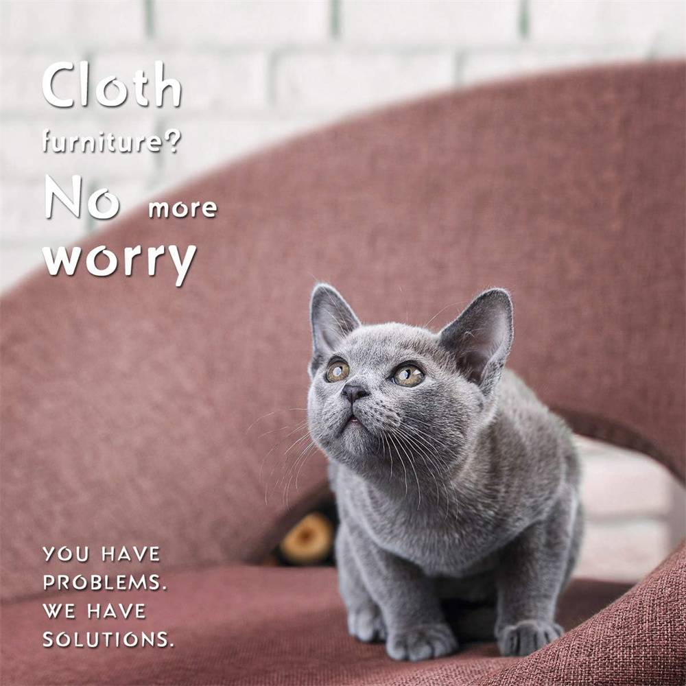 Ciseaux - griffes pour chat et petits animaux DtopbuyAge - Image 6