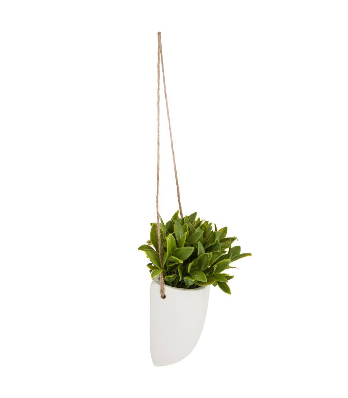 Plante artificielle murale Pot en céramique H 20 cm - Image 1