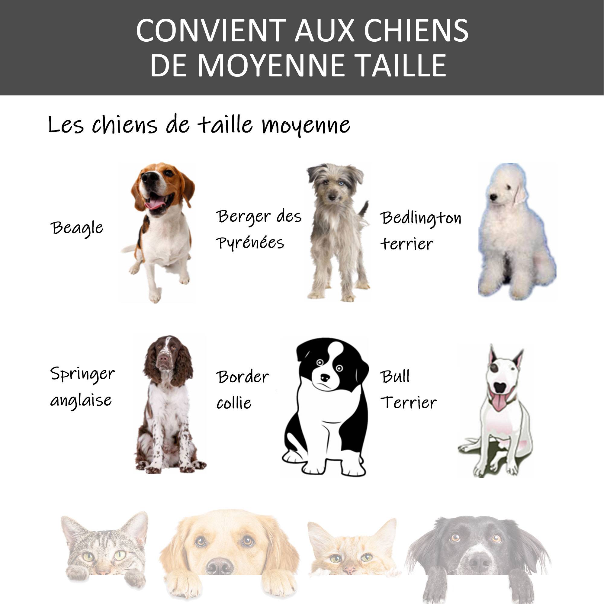 Sans Marque - Cage pour chien pliable cage de transport sur roulettes 2 portes verrouillables plateau amovible dim. 94L x 58l x 69,5H cm métal gris noir - Image 9