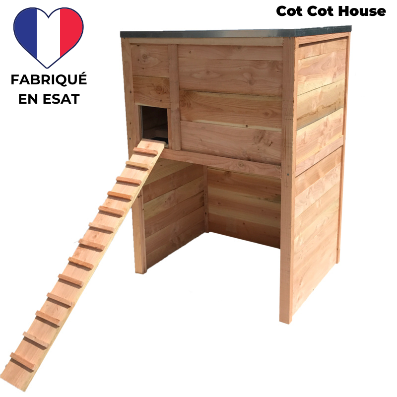Poulailler 4 poules pratique et solide - modèle houdan confort - Cot Cot House