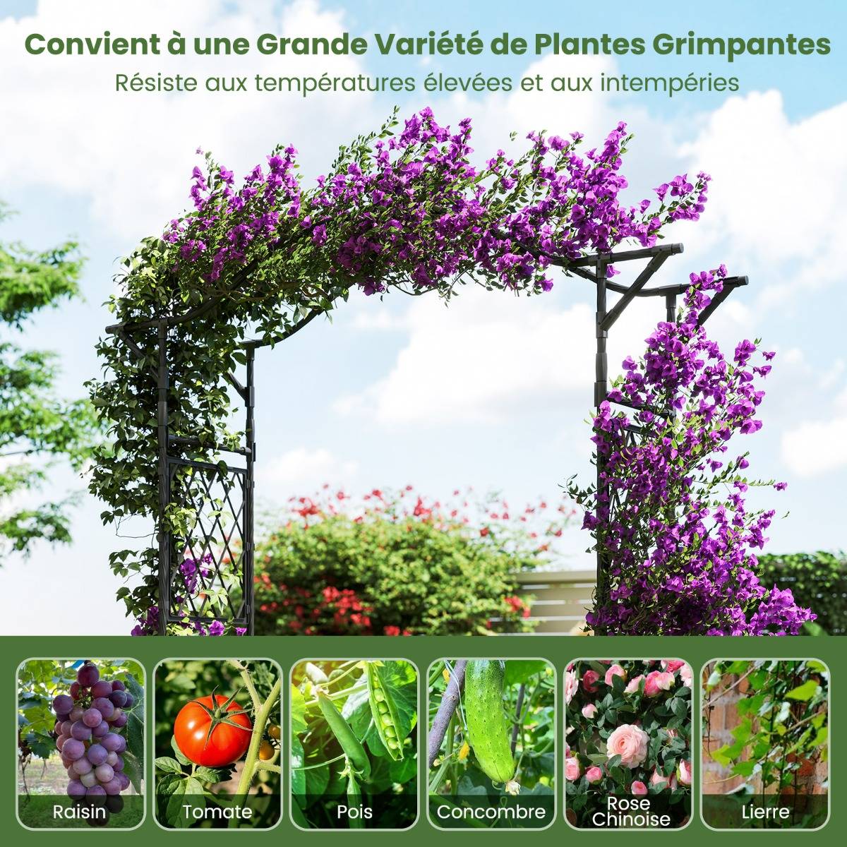 Maison Chic - Arche de Jardin Treillis 170x210cm pour Plantes Grimpantes Pergola en Métal Antirouille - Image 7