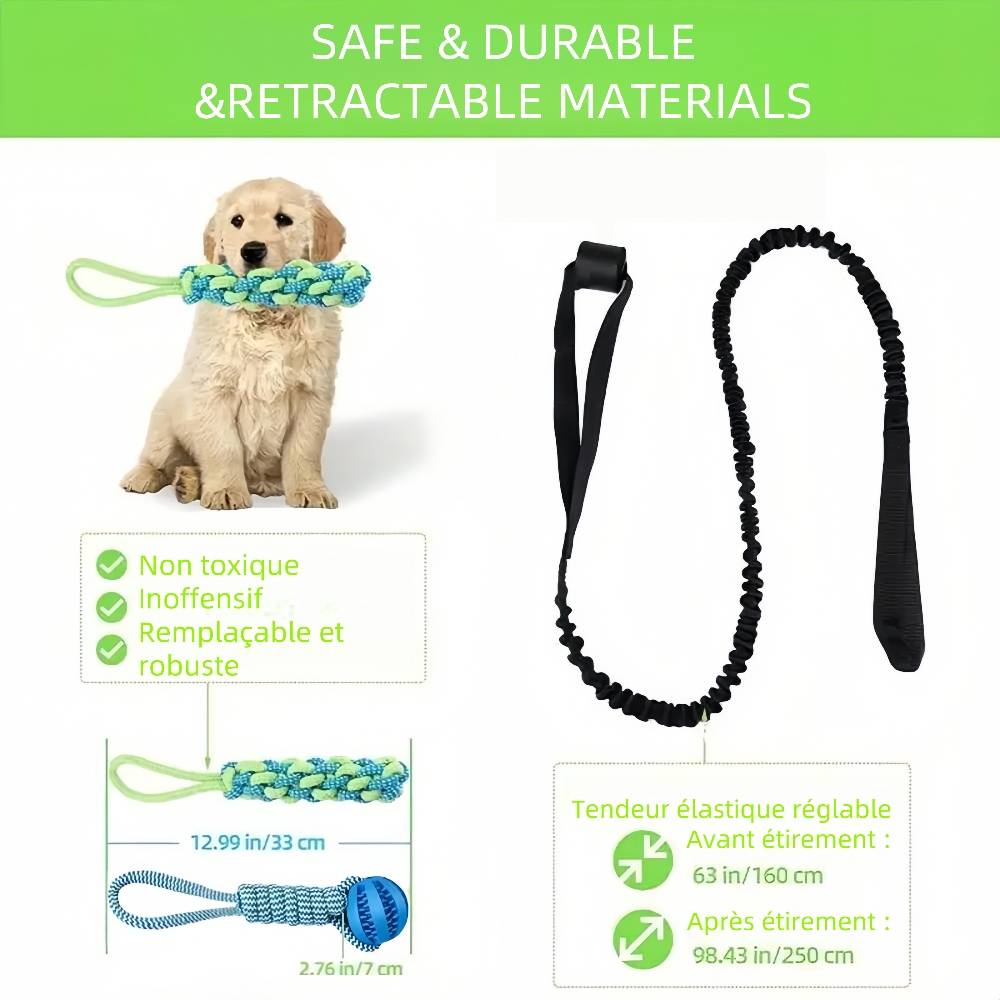 Kit de jouets pour chien - IntiMeg - Image 5