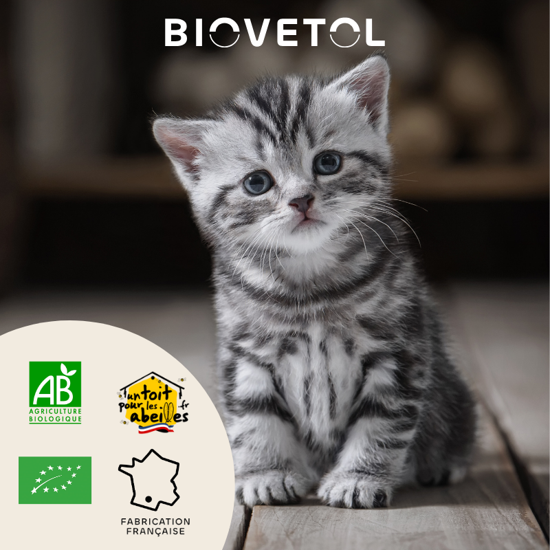 Biovetol - Vermifuge Bio en Poudre pour Petit Chat & Chaton - Image 2