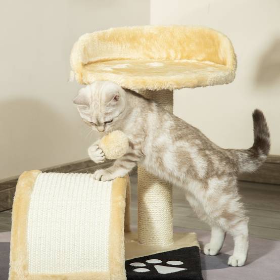 Arbre à chat sisal et peluche beige 35.5 x 37 x 46 cm - PANGIVO - Image 9