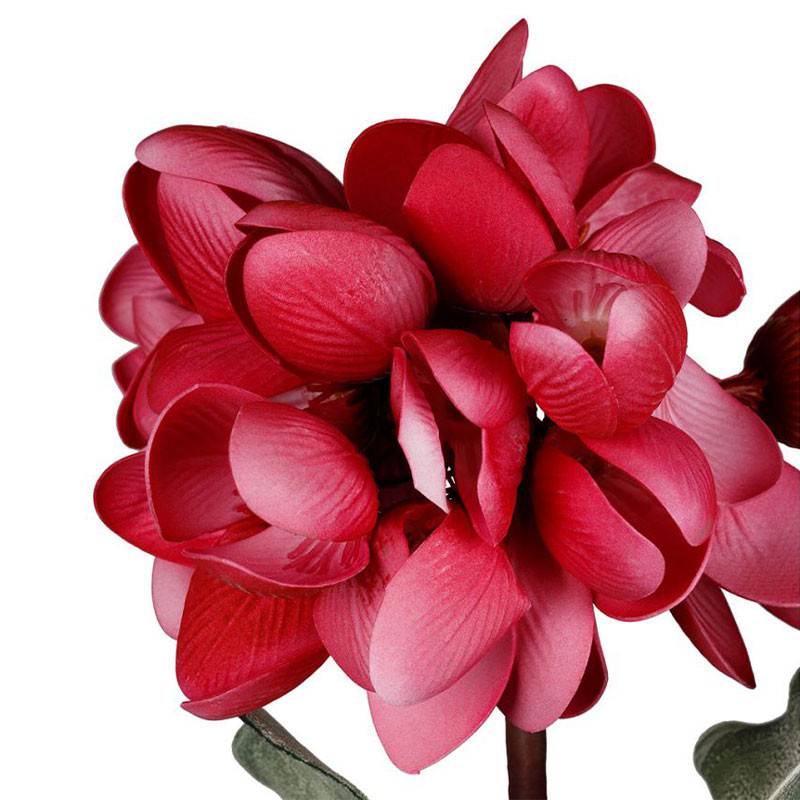 Fleur Campia Fuchsia Haute Tige 82cm - Image 3
