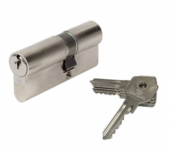 Cylindre de serrure BRICARD alpha débrayable L.30 + 40 mm - Image 1