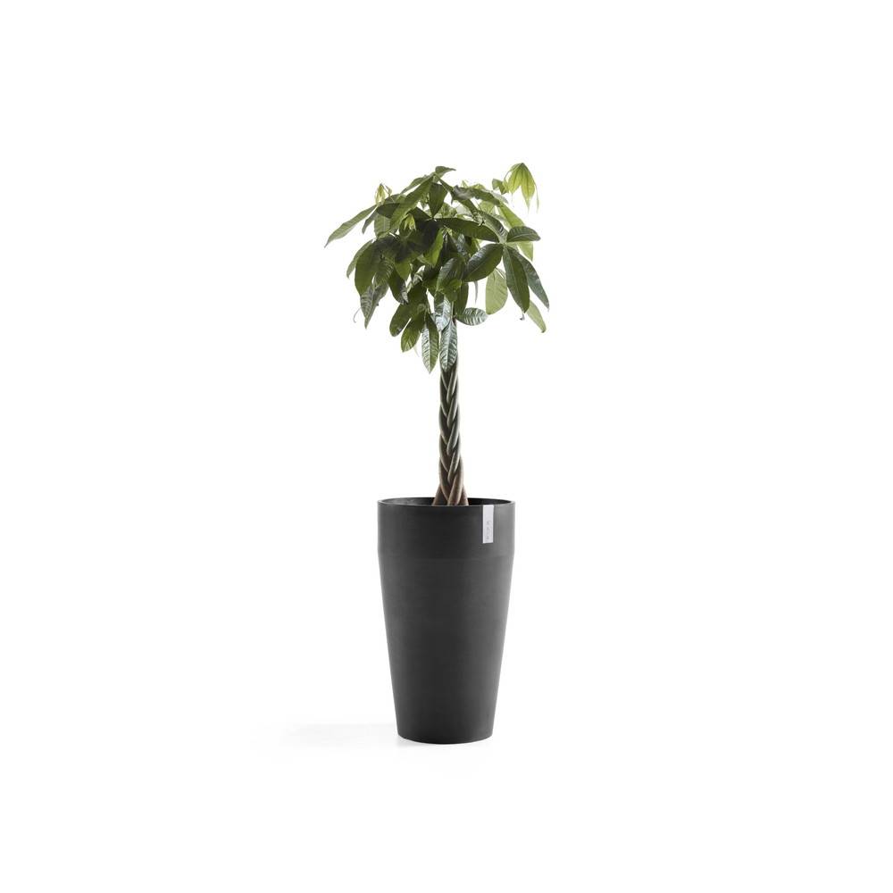 Ecopots - Pot Haut Sankara 75 Gris Foncé - Ø 45 x H. 75 cm - 78 L ECOPOTS - Image 2