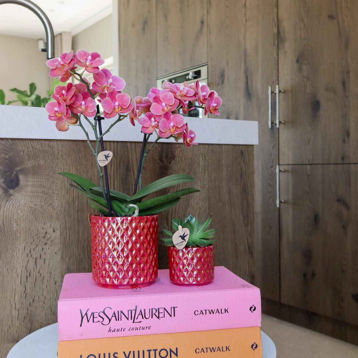 Kolibri Orchids Orchidée Phalaenopsis Rouge Congo + Pot Pearl Rouge - D9 - Image 2