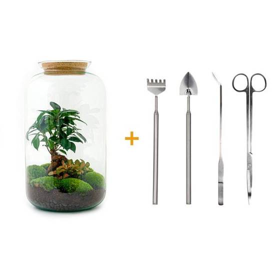 Diy Terrarium - D43 H43cm - Image 3