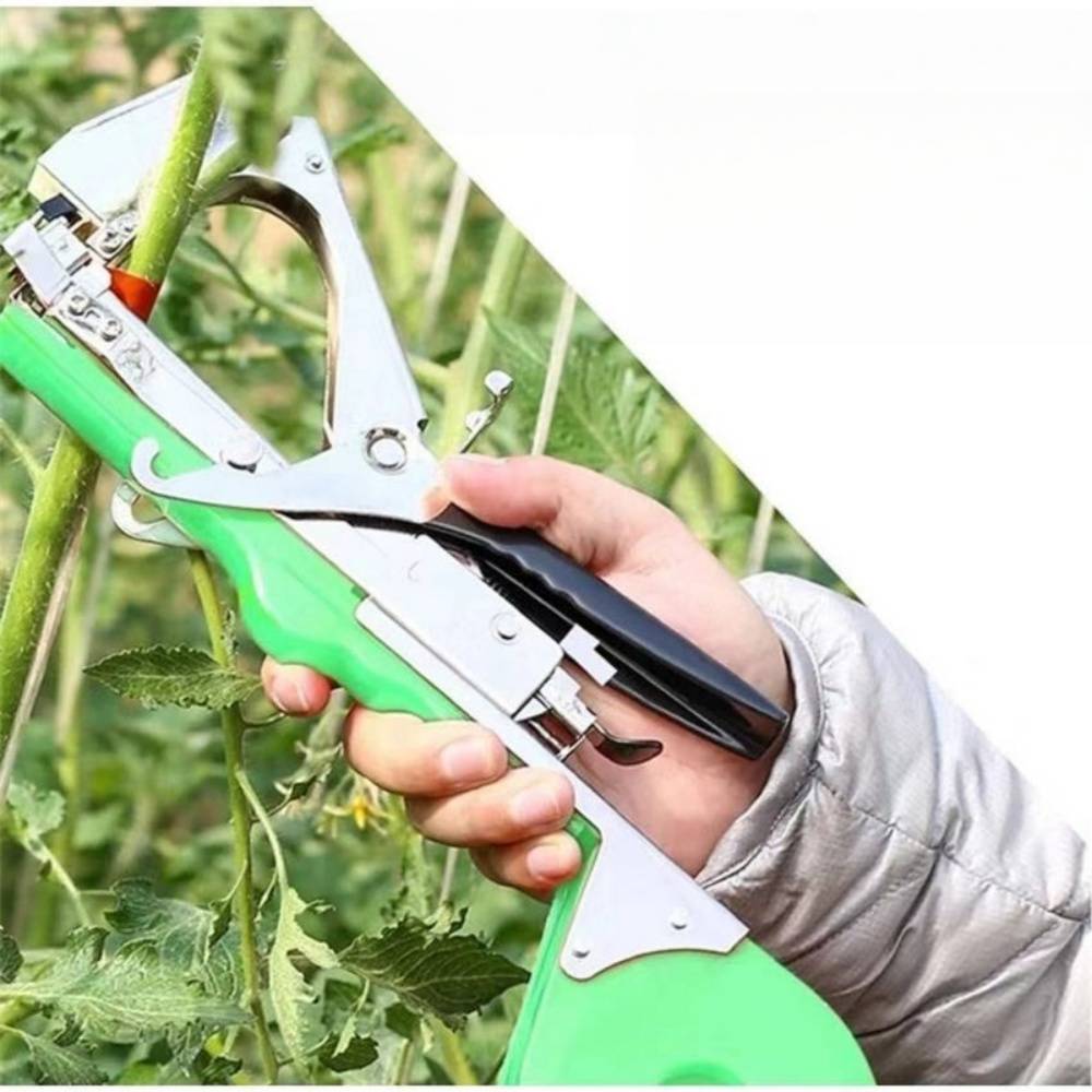 Attache - Plantes et Branches en Acier Inoxydable - IntiMeg - Image 4