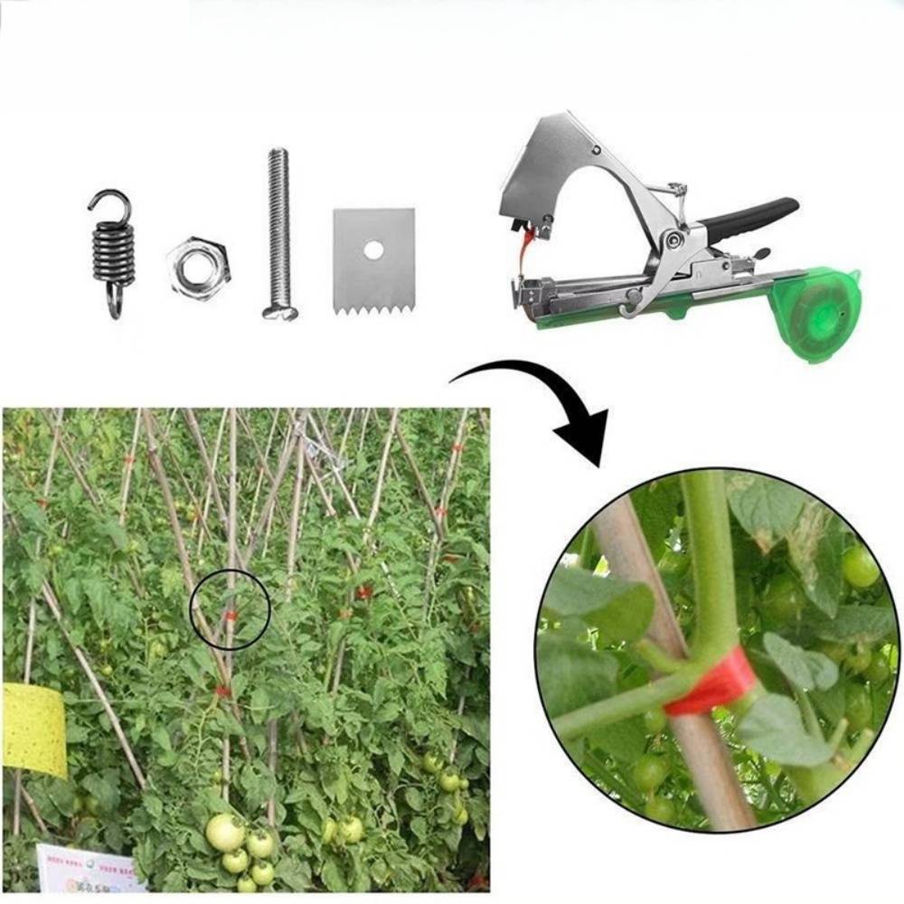 Attache - Plantes et Branches en Acier Inoxydable - IntiMeg - Image 6