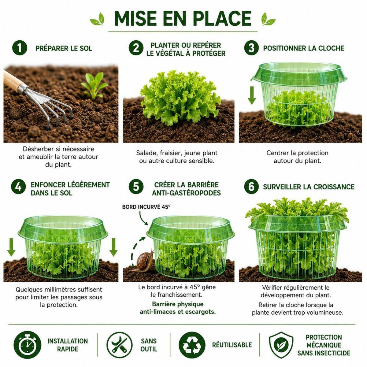 SOLU'LIMACES -1 Cloche Barrière Limaces et Escargots – Protection Physique Réutilisable pour Salades, Fraisiers, Choux – Ø23cm - Image 4