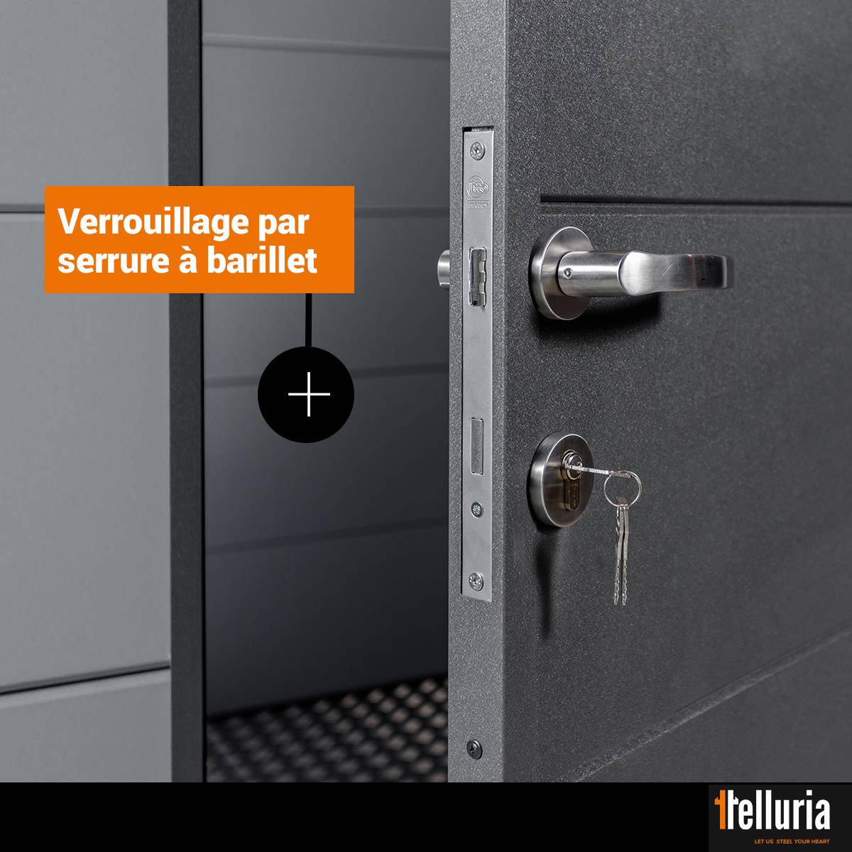 Telluria - Abri de jardin en acier 7,1 m² avec auvent à gauche 4 m² anthracite - TELLURIA 3024 - Image 3