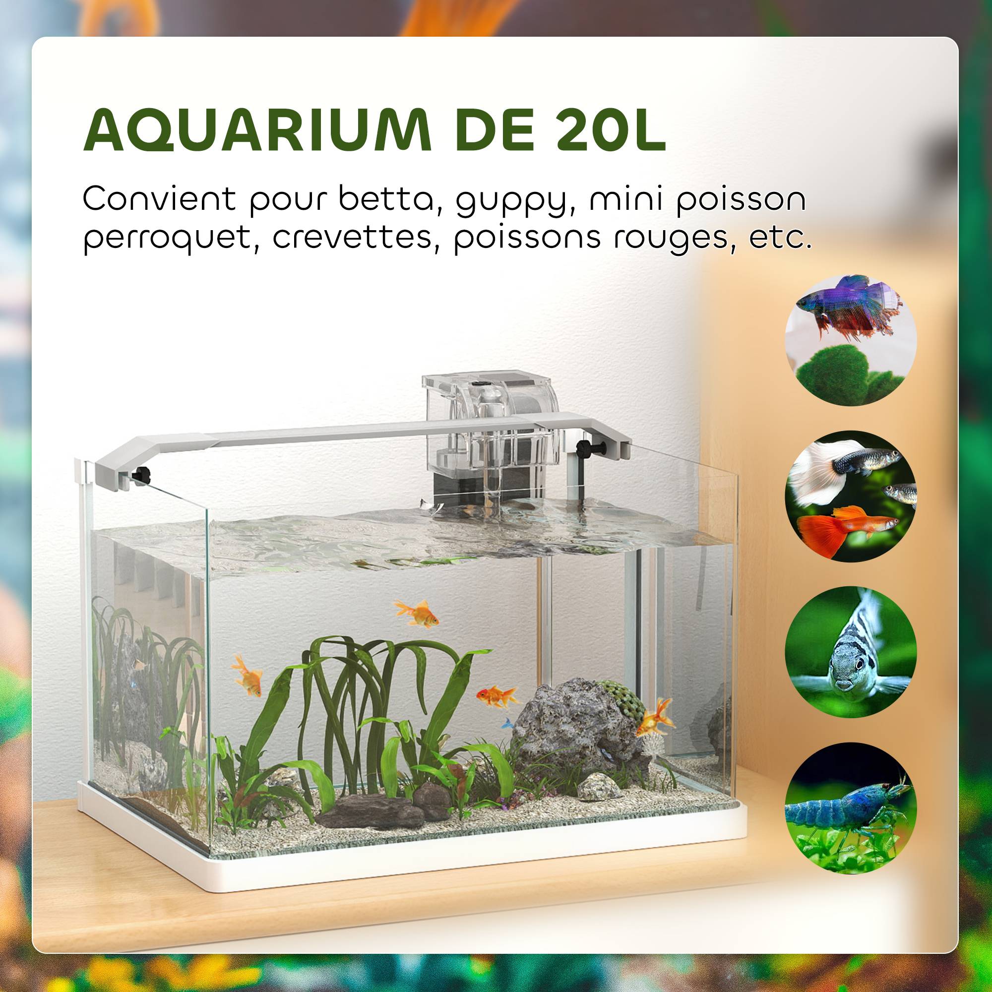 Sans Marque - Aquarium en verre avec lumières LED aquarium de 20L pompe à filtre 38 x 26 x 27 cm blanc - Image 8