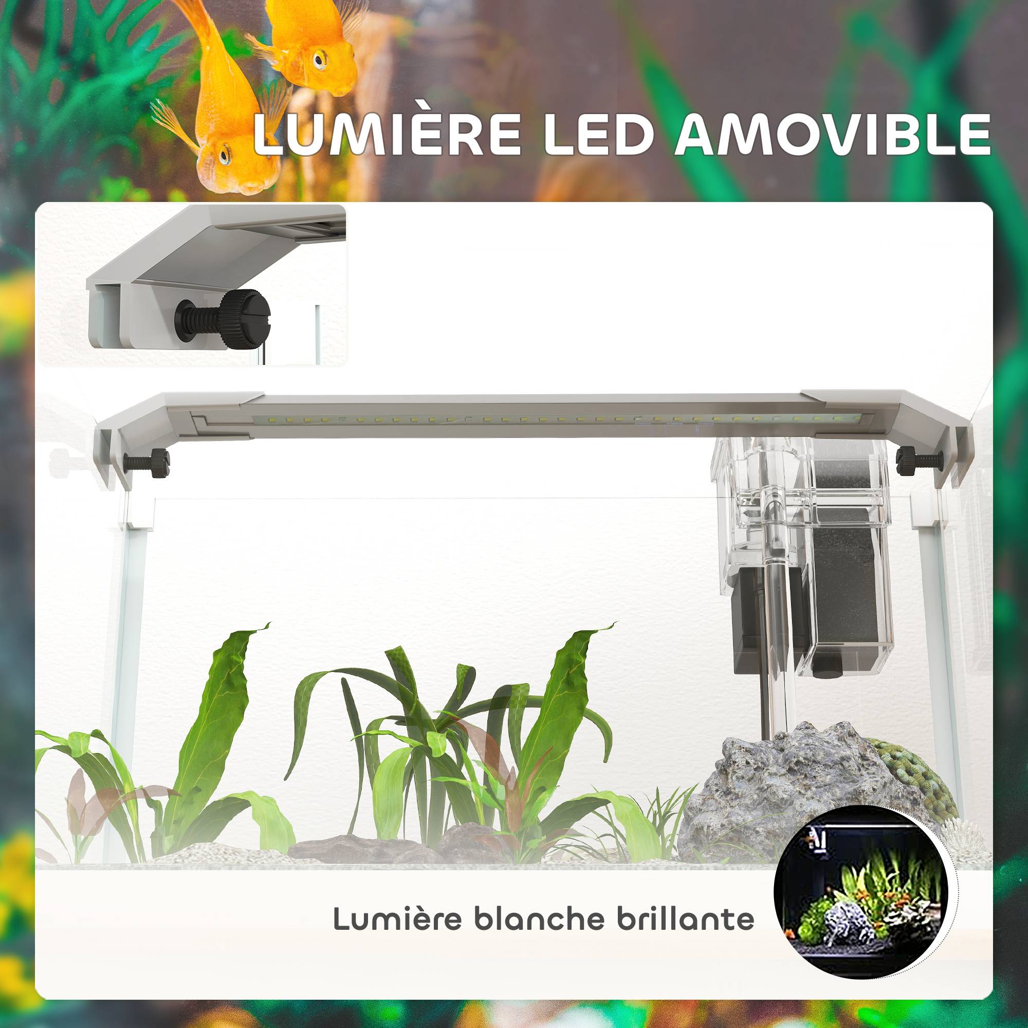 Sans Marque - Aquarium en verre avec lumières LED aquarium de 20L pompe à filtre 38 x 26 x 27 cm blanc - Image 7