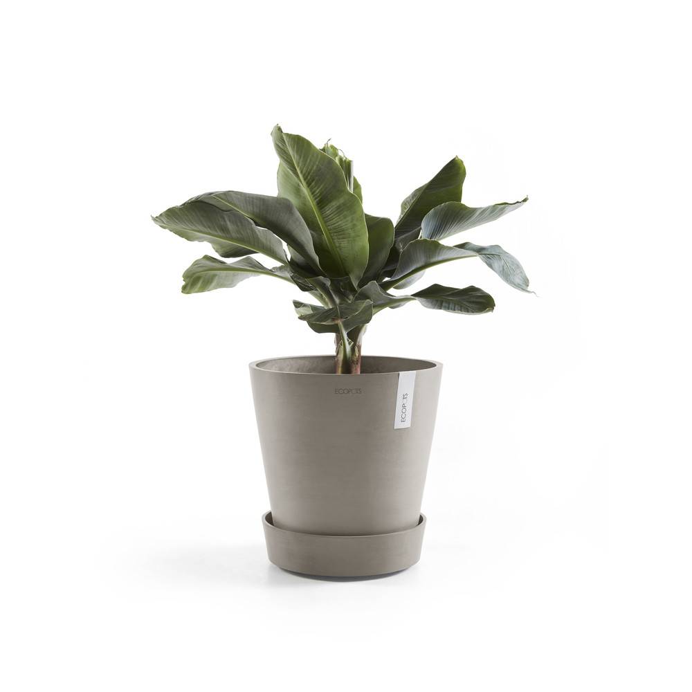 Ecopots - Support à roulettes Wheels 60 Taupe - Ø 51 x H. 12,4 cm ECOPOTS - Image 3