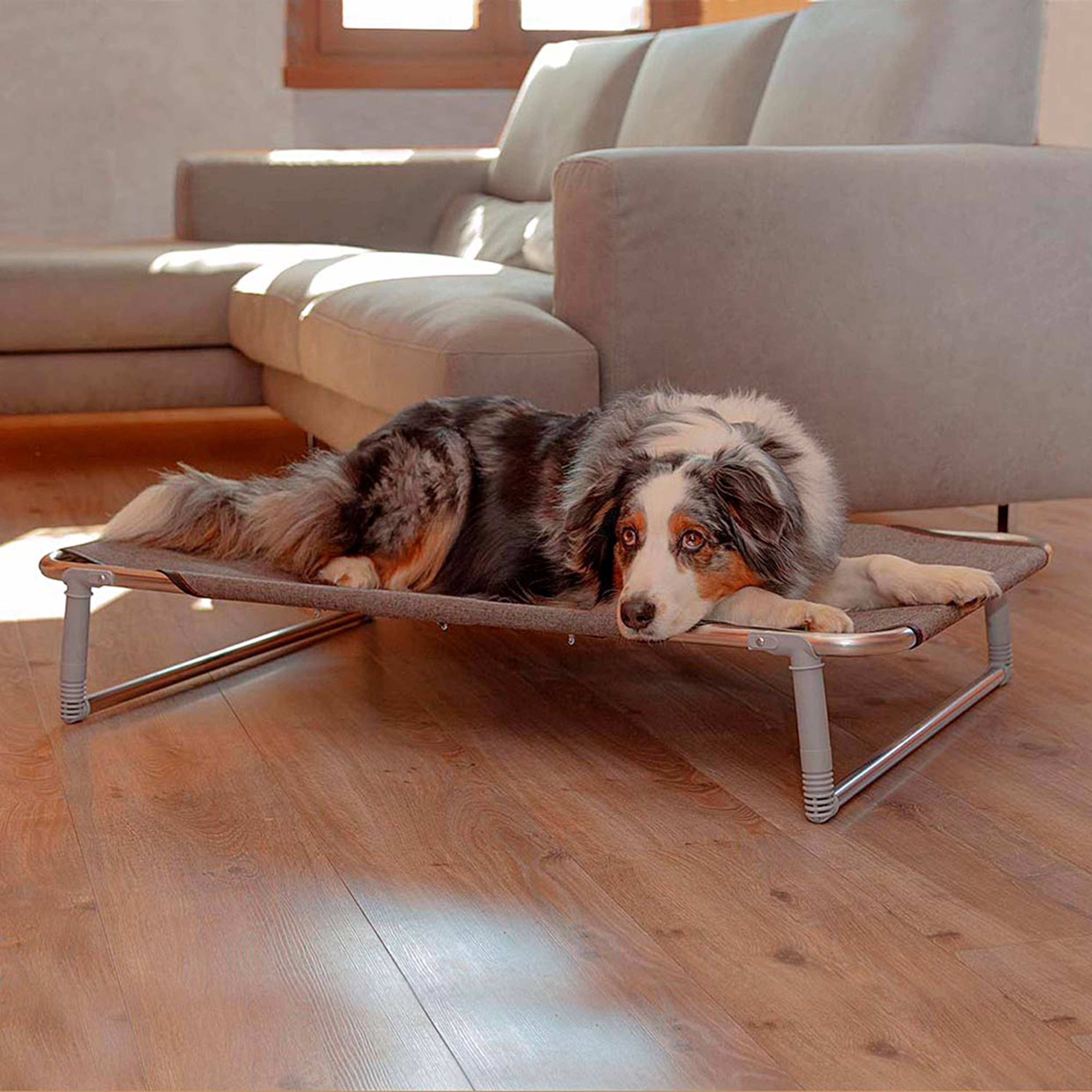 Ferplast - Ferplast Lit pliable pour chiens DREAM 100, avec structure solide en aluminium avec élastiques renforcés, toile en tissu, 105 x 63 x h 18 cm Taupe - Image 4