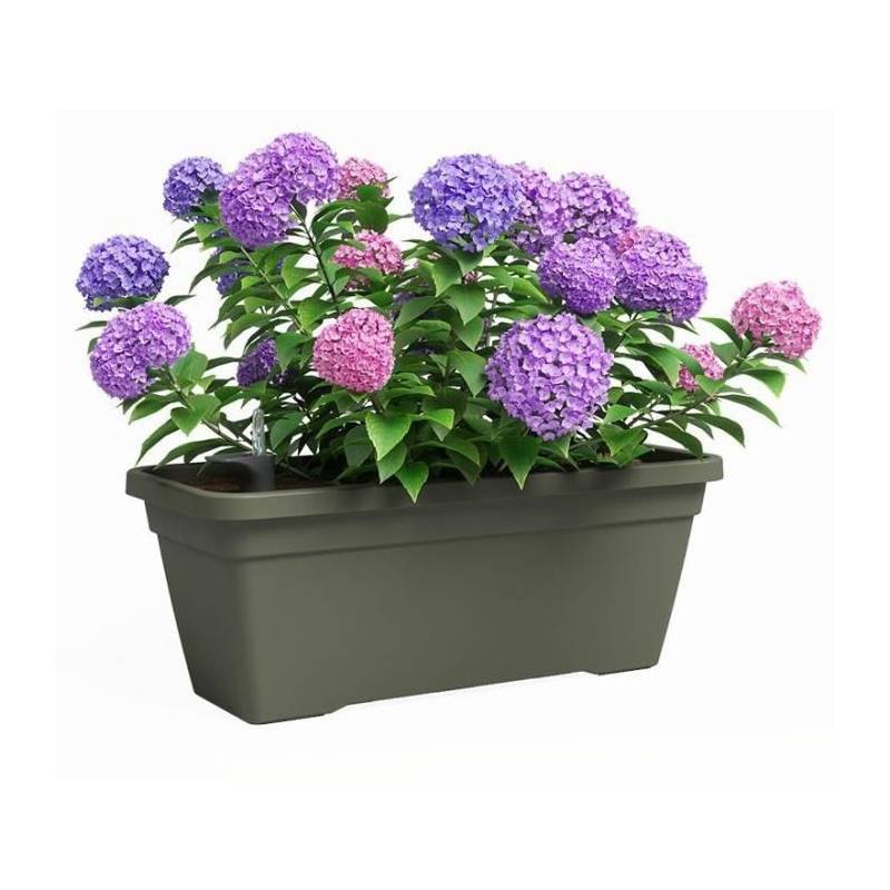 Jardiniere - Plastique - Vert Sec - Rectangulaire - L57,9 X P24,3 X H22cm - Artevasi - Image 2