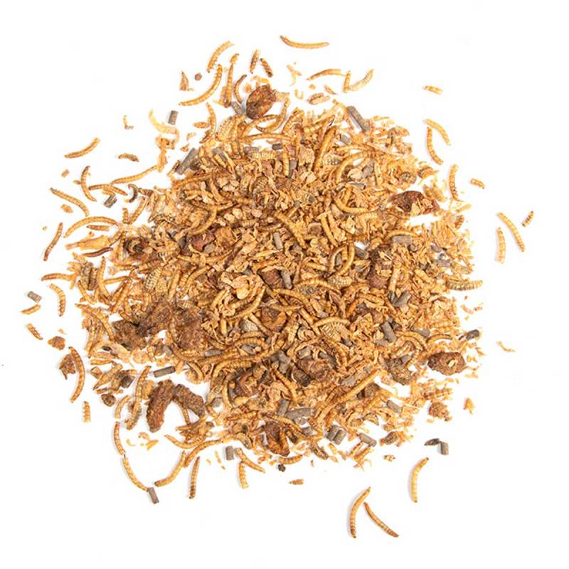 Esschert Design - Nourriture hérisson Insectes séchés 250 gr - Esschert Design - Image 2