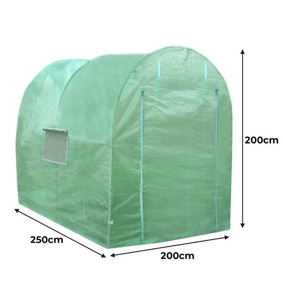 Monstershop - Serre Polytunnel 19mm 2.5m x 2m avec Étagères - Image 3