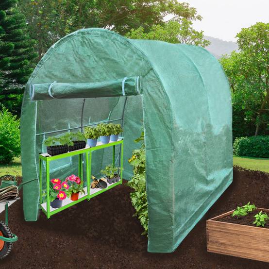 Monstershop - Serre Polytunnel 19mm 2.5m x 2m avec Étagères - Image 2