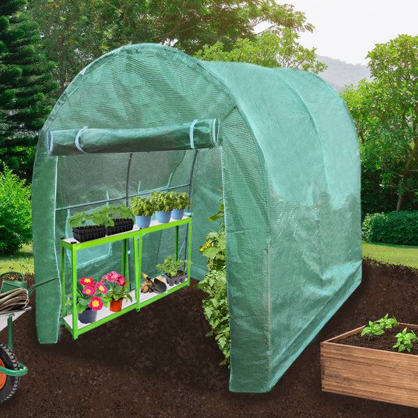 Monstershop - Serre Polytunnel 19mm 2.5m x 2m avec Étagères - Image 2