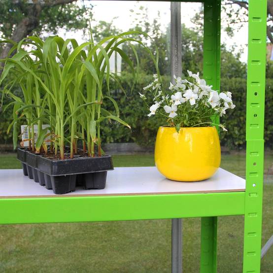 Monstershop - Serre Polytunnel 19mm 2.5m x 2m avec Étagères - Image 5