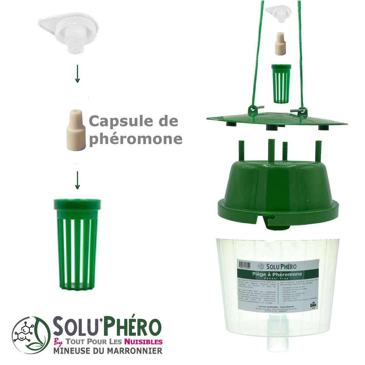 Soluphero - 12 phéromones mineuse marronnier bio - efficacité par