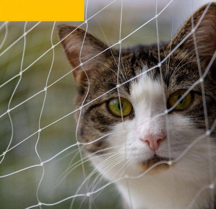 Filet anti-chats, filet anti-oiseaux, grillage en nylon - pour balcons et fenêtres - avec fixation - blanc - 8 x 3 m-Lytech - Image 6