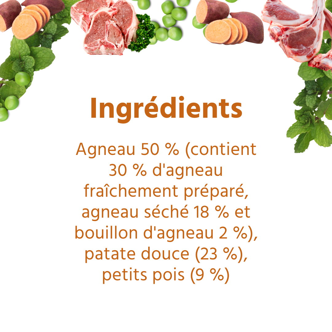 Wildfang - Wildfang Croquettes adultes à l'agneau - sans céréales - 2 kg - Image 4