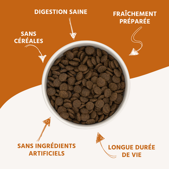 Wildfang - Wildfang Croquettes adultes à l'agneau - sans céréales - 2 kg - Image 3