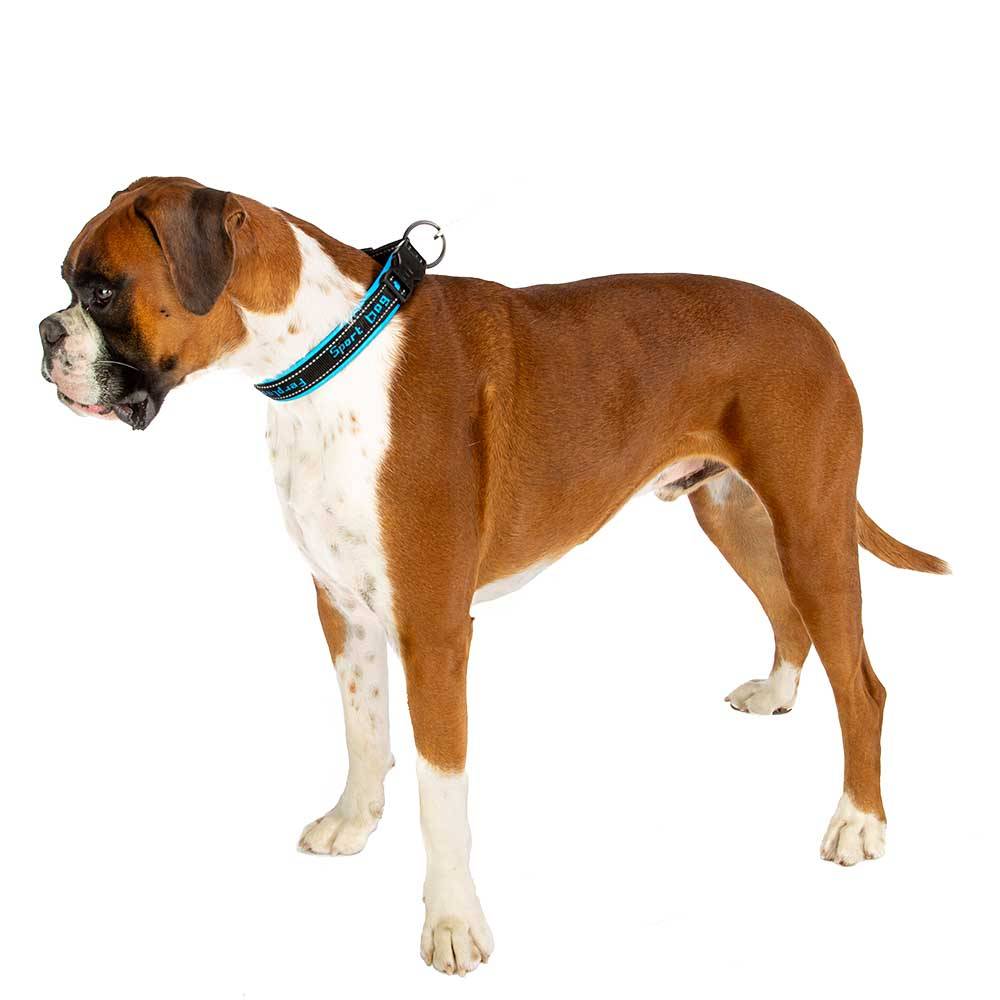 Ferplast - Ferplast Collier Chien SPORT DOG, Collier pour Chien de Taille Grande, Rembourrage Doux, Coutures réfléchissantes, Étiquette pour le nom de l'animal, - Image 7