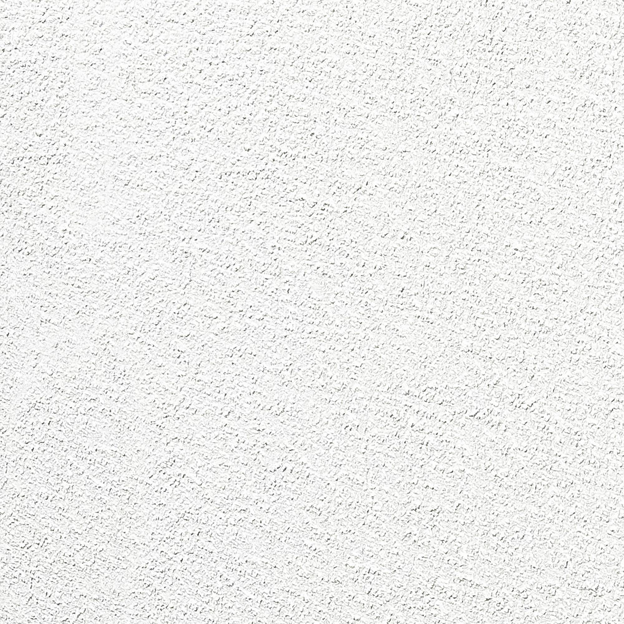 Abri de jardin en métal finition crépi 2900 x 2560 mm blanc avec auvent à droite 2000 x 2560 mm anthracite - Image 6