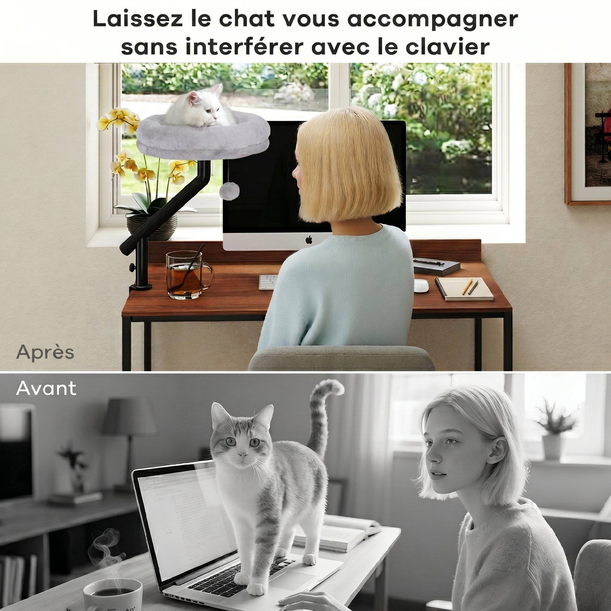 ComfortXL - Lit de bureau pour chat acier 35x35x48 cm gris fenêtre réglable 360° et lavable - ComfortXL Outdoor Living - Image 5