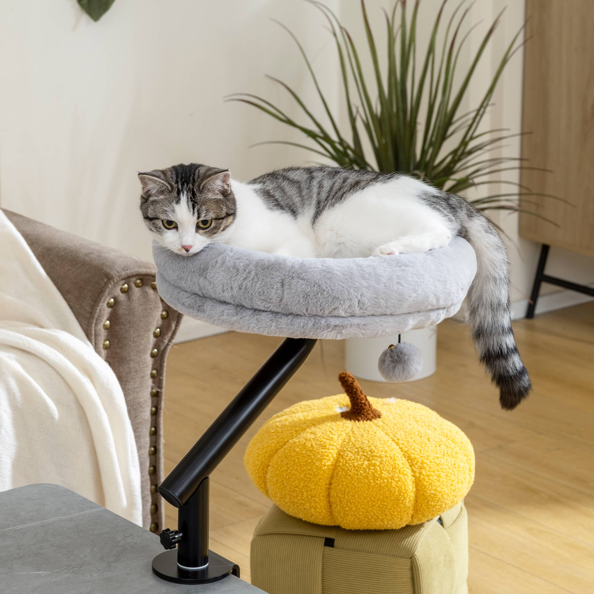 ComfortXL - Lit de bureau pour chat acier 35x35x48 cm gris fenêtre réglable 360° et lavable - ComfortXL Outdoor Living - Image 2