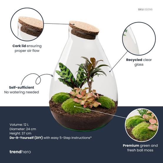 Terrarium à composer goutte en verre recyclé - Ø29-H37cm - sans outils - variété rouge - Terrarium DIY - Image 2