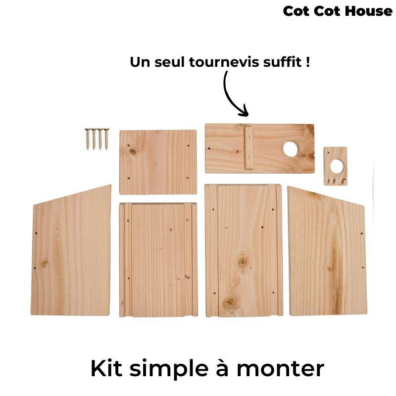 Kit pédagogique - oiseaux - Cot Cot House - Image 3