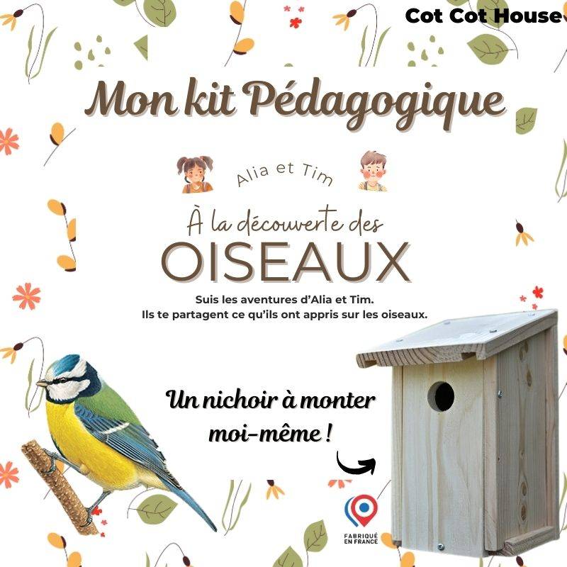 Kit pédagogique - oiseaux - Cot Cot House