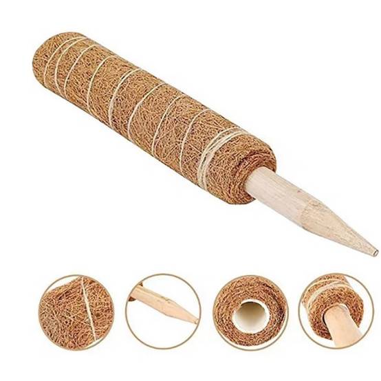 0 - Tuteur coco pour plantes grimpantes - 50cm - Fibre naturelle - Pour Monstera/Philodendron - Réutilisable - Image 2