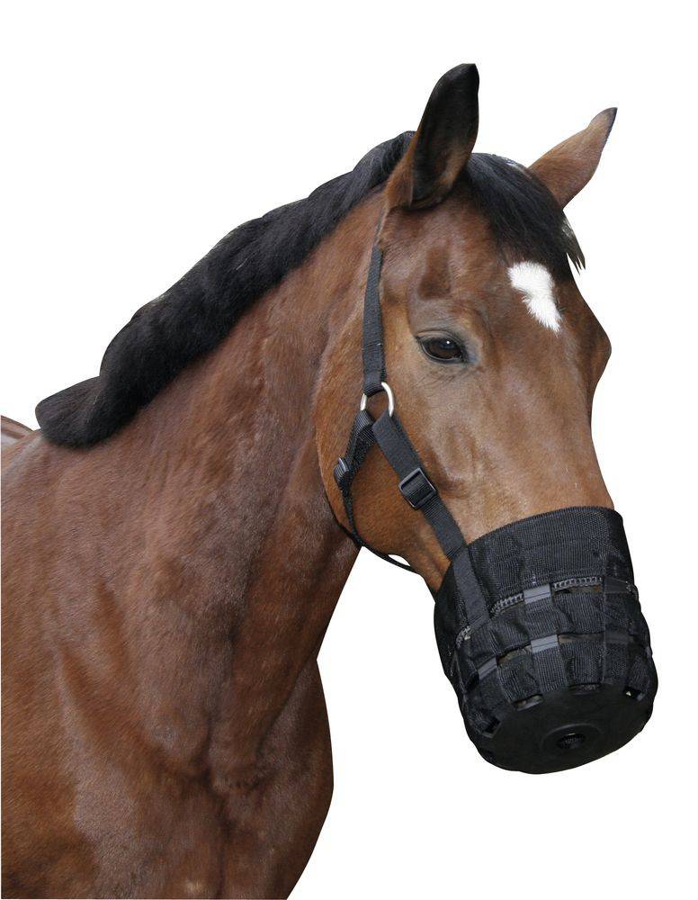 Panier Muselière Anti-Fourbure spécial Poney Shetland Albert Kerbl GmbH - Image 2