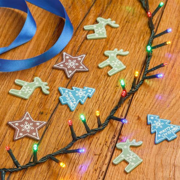 Lotti - Guirlande extérieur BOA 20M 1000 LED multicolores câble vert foncé 8 modes minuteur Lotti - Image 5