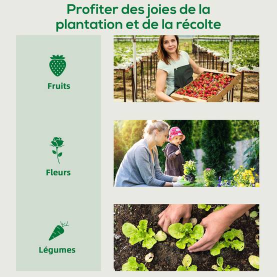 Serre de Jardin Anti-UV 2 fenêtres moustiquaires + Barres renforcement 200L x 77l x 169H cm Acier PE Vert - Image 9