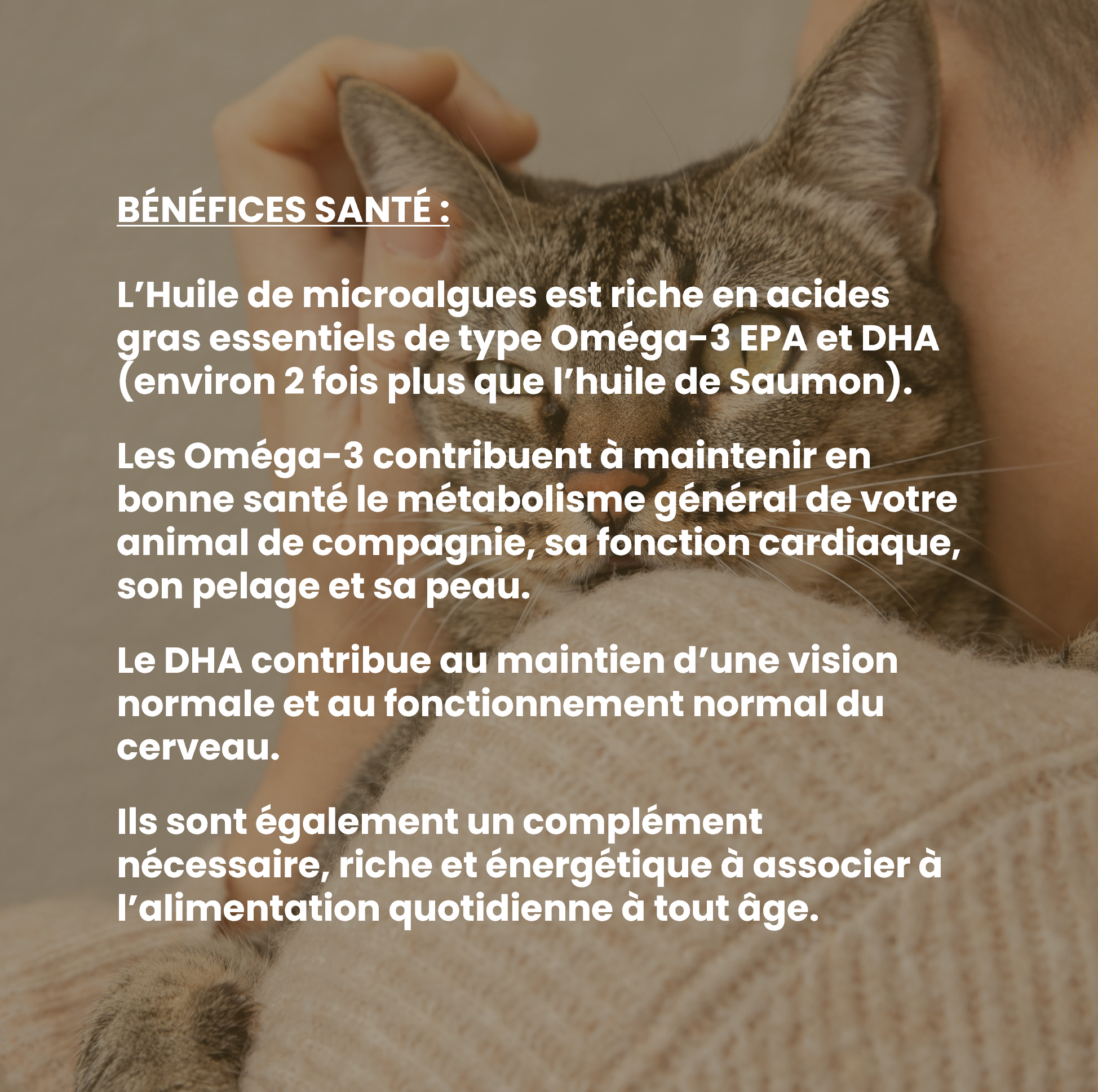 Complément alimentaire vétérinaire - Oméga 3 chat 50 mL - VetyVert - Image 4