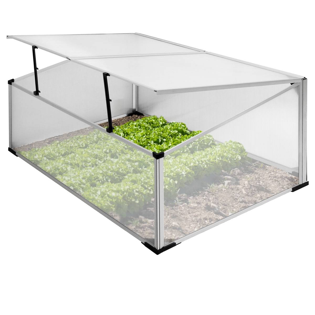 Serre de jardin polycarbonate aluminium plante légume tomate fleurs 100x60x40 cm - Image 1