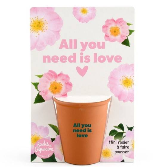 Radis et Capucine - Radis et Capucine - Carte message - All you need is love - Rosier - Image 2