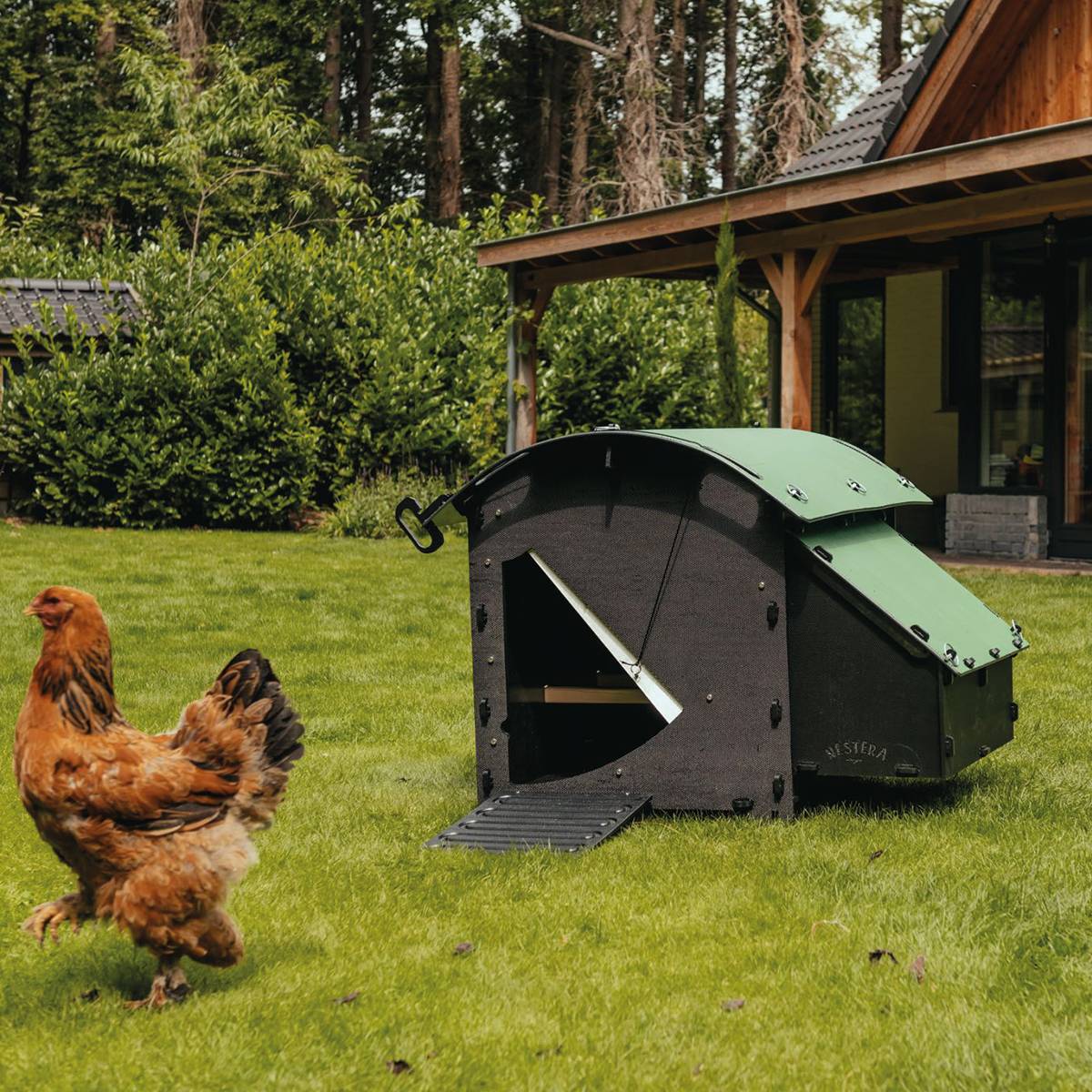 Poulailler Nestera The House Medium 5 poules - Plastique recyclé - garanti 25 ans - Image 1