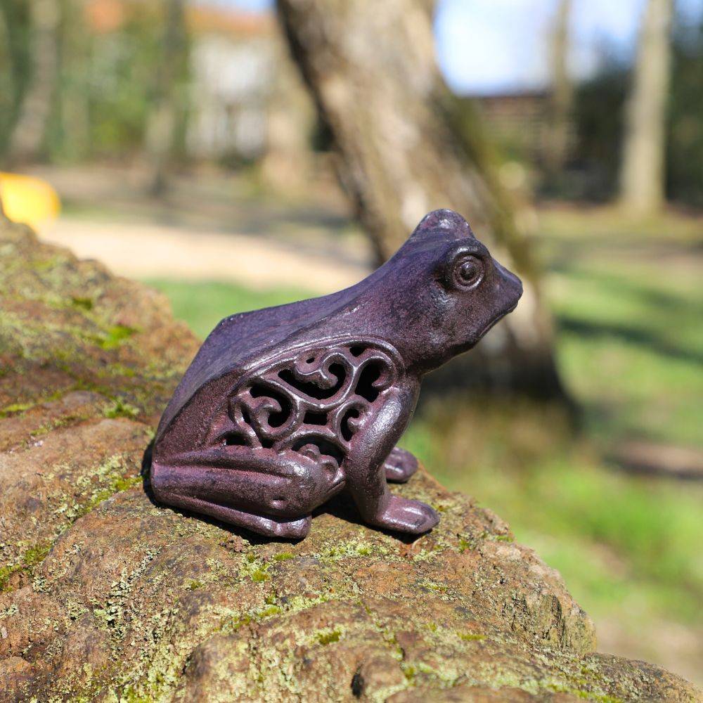 Grenouille en fonte marron 13 x 11 cm Chemin de campagne - Image 3